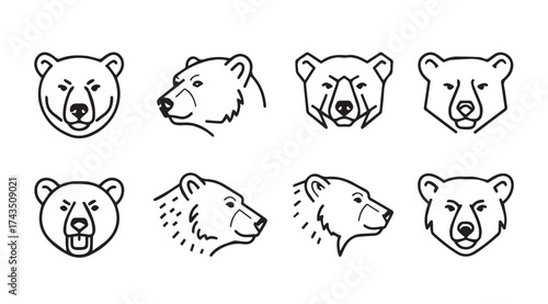 Collection of detailed grizzly bear head sketches in various poses and angles vector