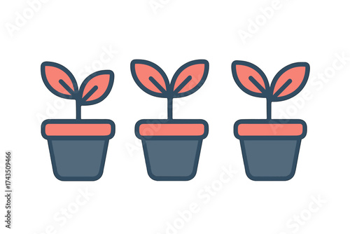 Three identical potted seedlings representing growth and development stages
