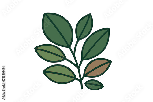 Simple graphic of a leafy branch with dark green leaves and a single brown leaf on white