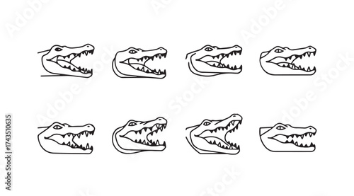 Set of eight diverse crocodile jaw and skull drawings showing different expressions and angles vector