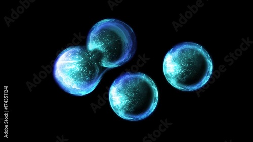 Cells of a living organism divide, clearly demonstrating the process of uncontrollable growth and reproduction of cells and bacteria.
