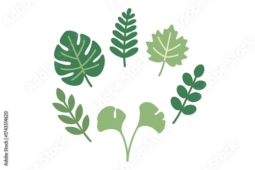 Collection of diverse green foliage forming a decorative circular frame design element