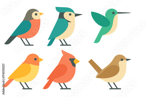 Diverse set of six colorful stylized birds including cardinal, blue jay, and hummingbird in modern flat aesthetic