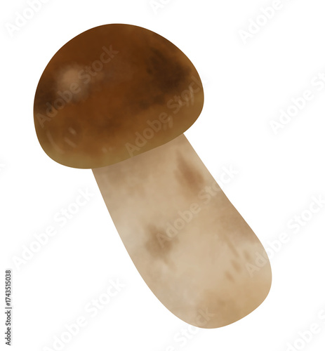 松茸のイラスト
