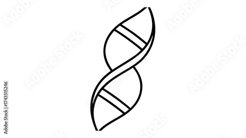Minimalist dna double helix line art illustration
