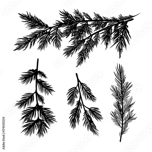 Realistic modern illustration of a pine tree branch is presented, complete with fir twigs that boast green needles, isolated on a transparent background, typically used for winter holiday decorations