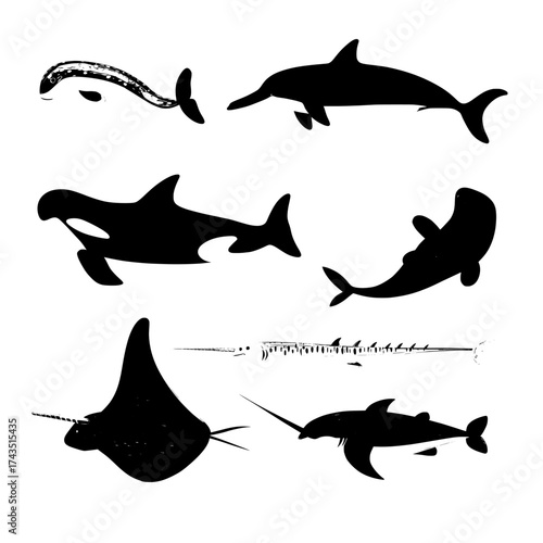A selection of sea creatures, comprising dolphins, killer whales, narwhals, stingrays, and other ocean fauna, illustrates cute aquatic mammals and big marine fishes in a swimming motion