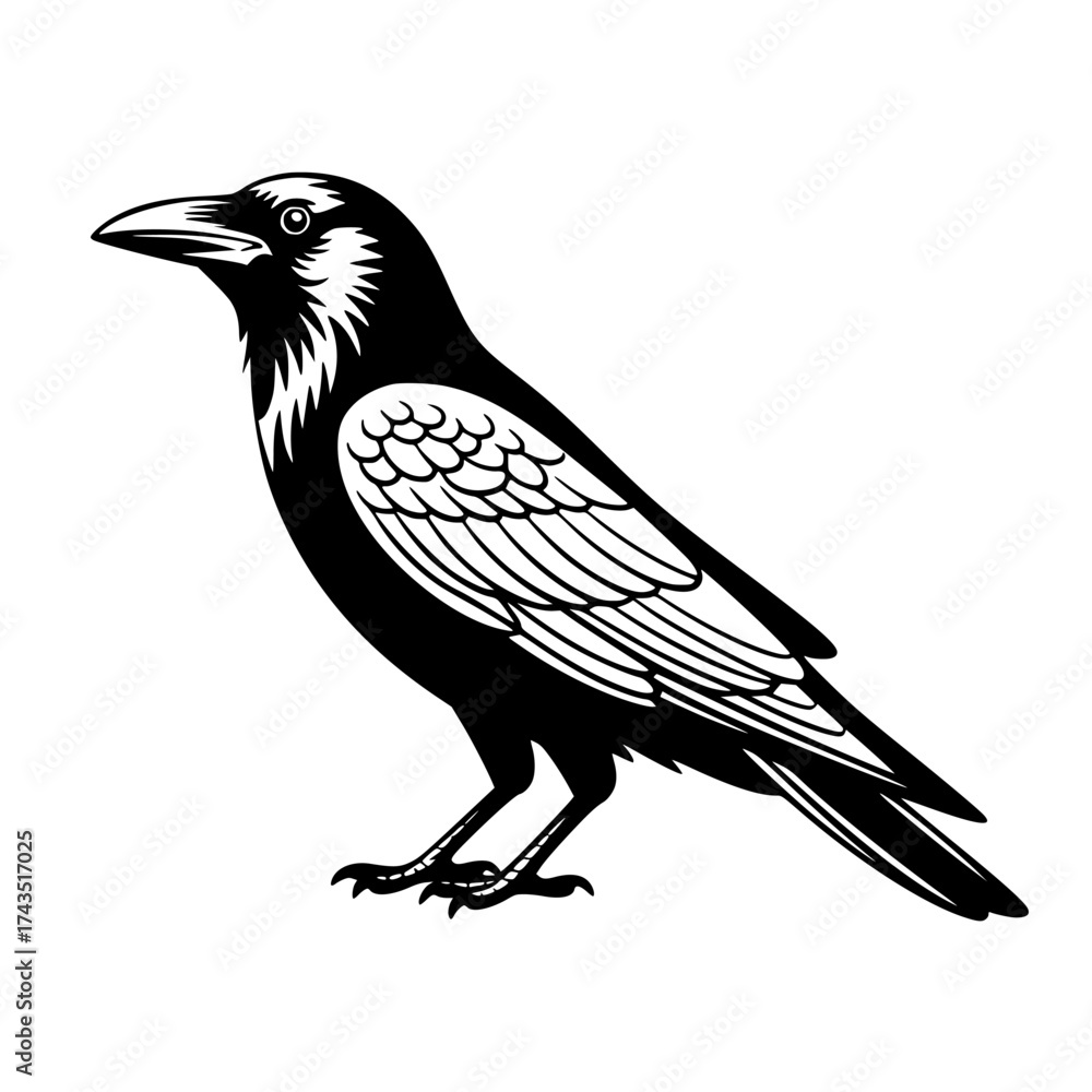 Obraz premium Vector art of black crow