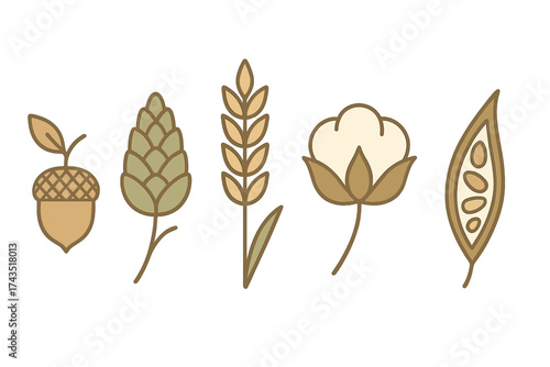 Natural agricultural products and harvest elements including acorn, hop, wheat, cotton, and seed pod collection