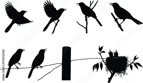 Bird Silhouettes on Branches and Nest Vector Illustration for Nature, Wildlife, Graphic Design, Education, and Decorative Art Projects