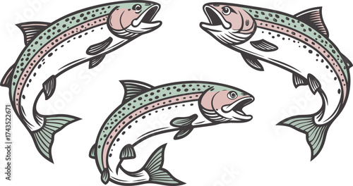 A vibrant collection of diverse rainbow trout illustrations showcasing their distinct patterns and colors in various poses and aquatic environments