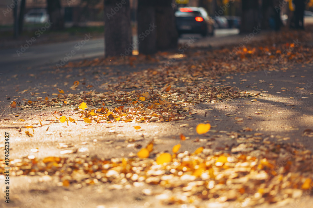 Obraz premium Colorful autumn leaves dance along a quiet street in a lively neighborhood during a sunny afternoon