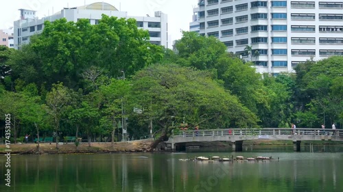 Lumphini Park Bangkok Thailand serene lake lush trees green oasis in city center popular for jogging boating relaxation and wildlife viewing in urban park setting.