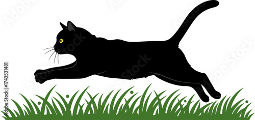 Silhouette of a Sleek Black Cat Lying Low in Tall Green Grass at Night