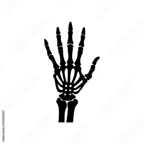 Illustration of a skeleton hand in black on transparent background silhouette