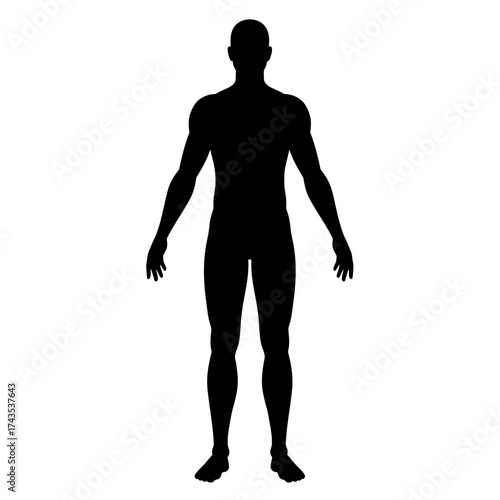 Full body silhouette human anatomy male standing front view concept of medical science and healthcare represents human form physiology fitness isolated on white background