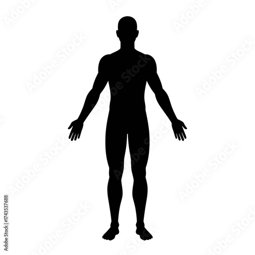 Full body human silhouette front view clean simple black outline shape on white represents health anatomy medical science education person isolated on white background