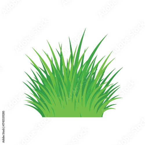 Vector illustration of green grass