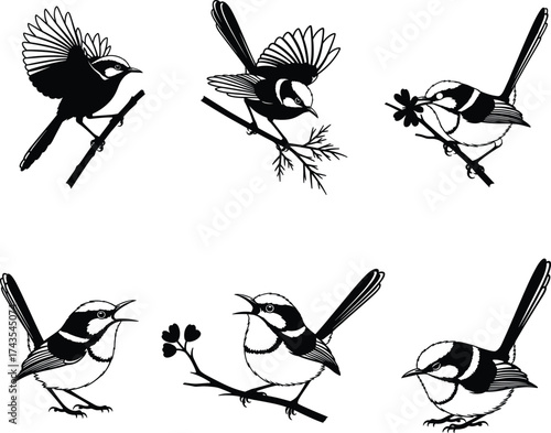 Cute Wren Birds Vector Silhouette Collection with Floral Branches, Flying, Perching, and Singing Poses for Nature and Wildlife Artwork