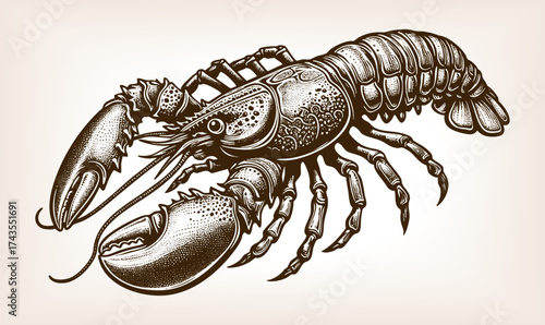 lobster with claws and segmented body, symbolizing seafood, marine life, and oceanic delicacies sketch engraving generative ai vector illustration. Scratch board imitation. Black and white image.