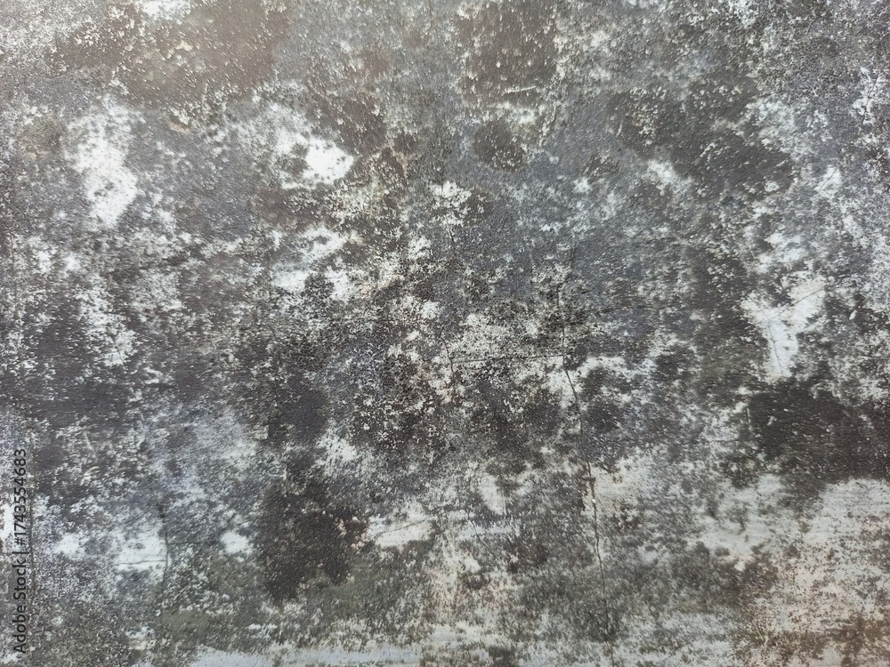 Fototapeta premium Distressed Rough Black and White Grunge Wall Texture