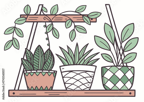 Potted plants on Shelf: An illustration showcasing an array of potted plants on a wooden shelf, arranged to enhance the home with greenery