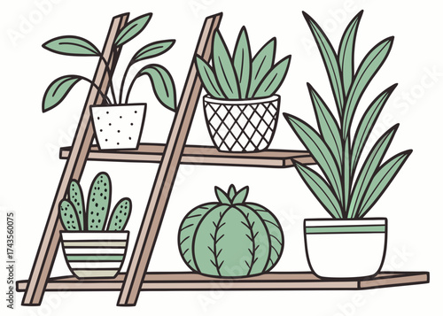Plant Paradise: A stylish, hand-drawn illustration showcases an array of potted plants artfully arranged on a wooden shelf unit, bringing a touch of nature indoors and celebrates a lush.