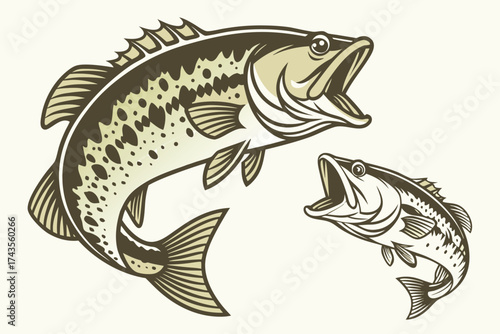 Detailed illustration of two healthy largemouth bass fish swimming in clear water showcasing their distinctive features and natural habitat