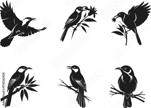 Tropical Bird Silhouette Vector Collection Featuring Flying, Perched, and Feeding Poses on Branches and Flowers for Nature Design Projects