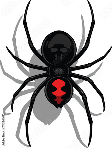 Detailed black widow spider icon with red hourglass symbol on abdomen realistic insect