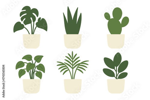 Set of popular indoor house plants in simple ceramic pots