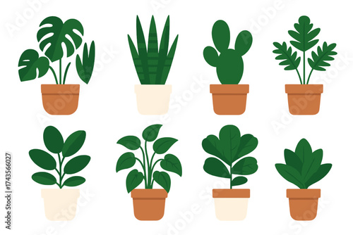 Collection of popular indoor houseplants like Monstera, snake plant, and cactus in terracotta pots