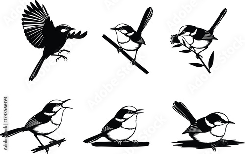 Wren Bird Silhouette Vector Set Featuring Flying, Perching, Singing and Feeding Poses for Nature, Wildlife, and Art Illustrations