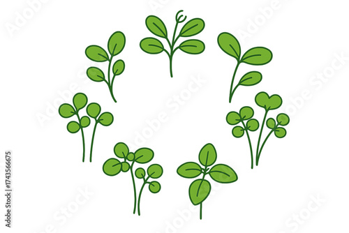 Stylized circular frame arrangement of fresh green sprouts and young plant seedlings