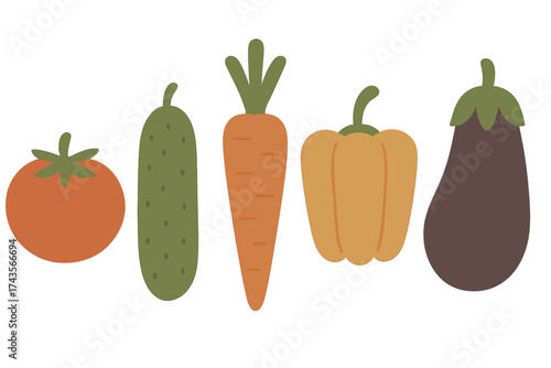 Fresh organic vegetables set: tomato, cucumber, carrot, pepper, and eggplant