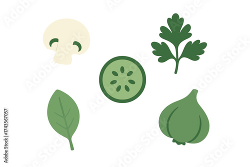 Minimalist flat design collection of fresh cooking ingredients: mushroom, cucumber, parsley, and garlic