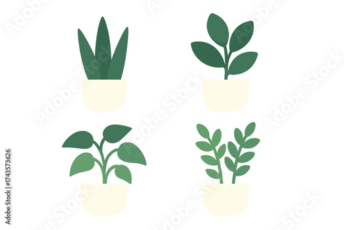 Symmetrical arrangement of four different potted indoor houseplants with green foliage on a white background