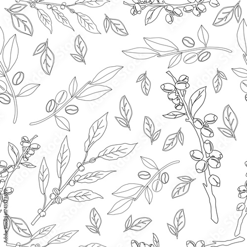 Seamless floral pattern. Branch with leaves. vector illustration of coffee branch. Coffee plant branch with leaf. Hand drawn Coffee tree vector. Coffee beans and leaves. Branch of a plant.	
