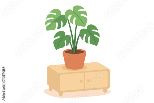 Potted Monstera deliciosa houseplant on wooden cabinet in modern interior