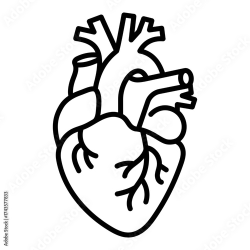 Anatomical heart icon symbolizing cardiovascular health and vitality.