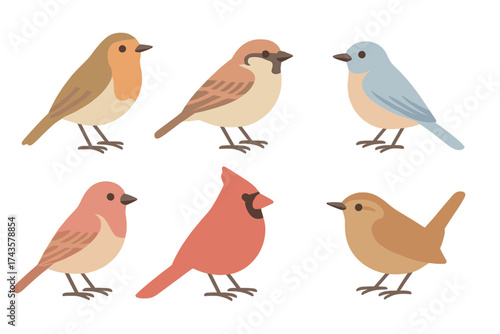 Six colorful stylized common songbirds including cardinal robin and sparrow in flat graphic style