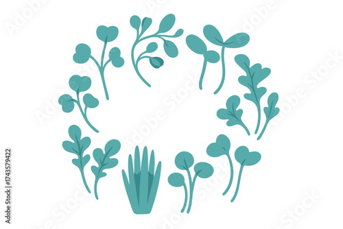 Stylized decorative wreath border of green microgreens and healthy organic sprouts