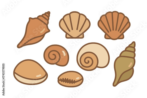 Stylized set of marine seashells, conch, scallop, and spiral mollusks
