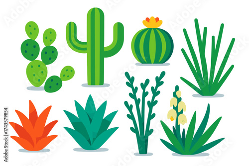 Colorful collection of desert plants and succulents including cactus and agave