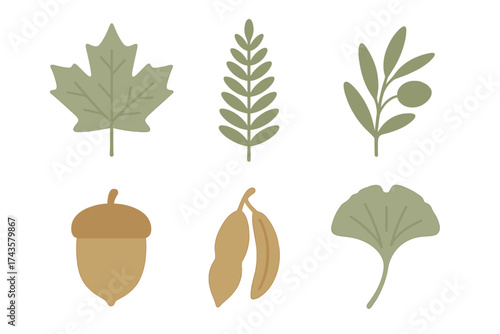 Stylized botanical elements collection featuring leaves, acorn, and seed pods in earthy colors