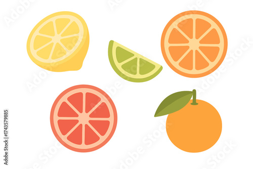Fresh citrus fruits collection with whole pieces and slices of lemon, lime, orange, and grapefruit