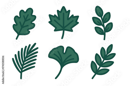 Collection of various stylized green leaves and natural foliage elements