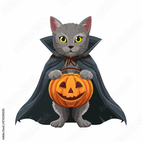 A gray cat dressed as a vampire, holding a carved pumpkin lantern for Halloween.