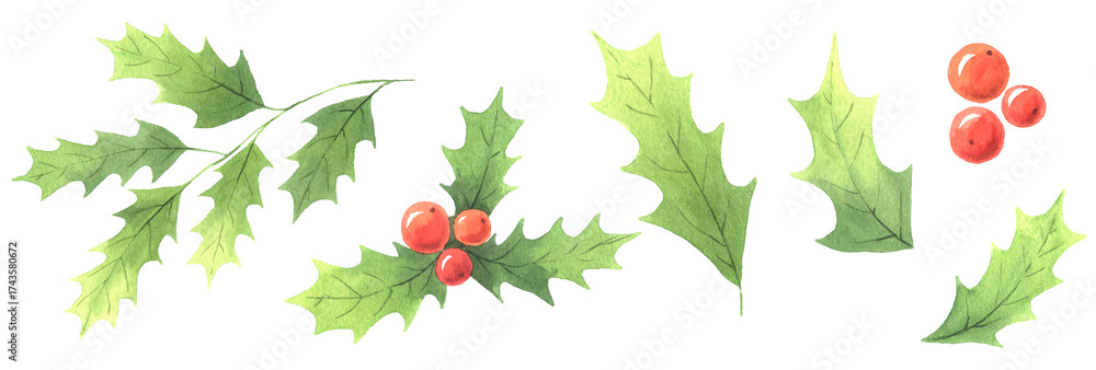 Fototapeta premium Watercolor Classic Christmas floral set of winter leaves and berries isolated clipart. Perfect for holiday postcards, fabric or scrapbooking