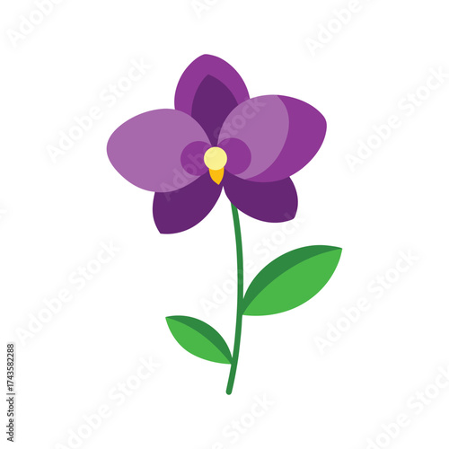 elegant purple orchid flower vector illustration